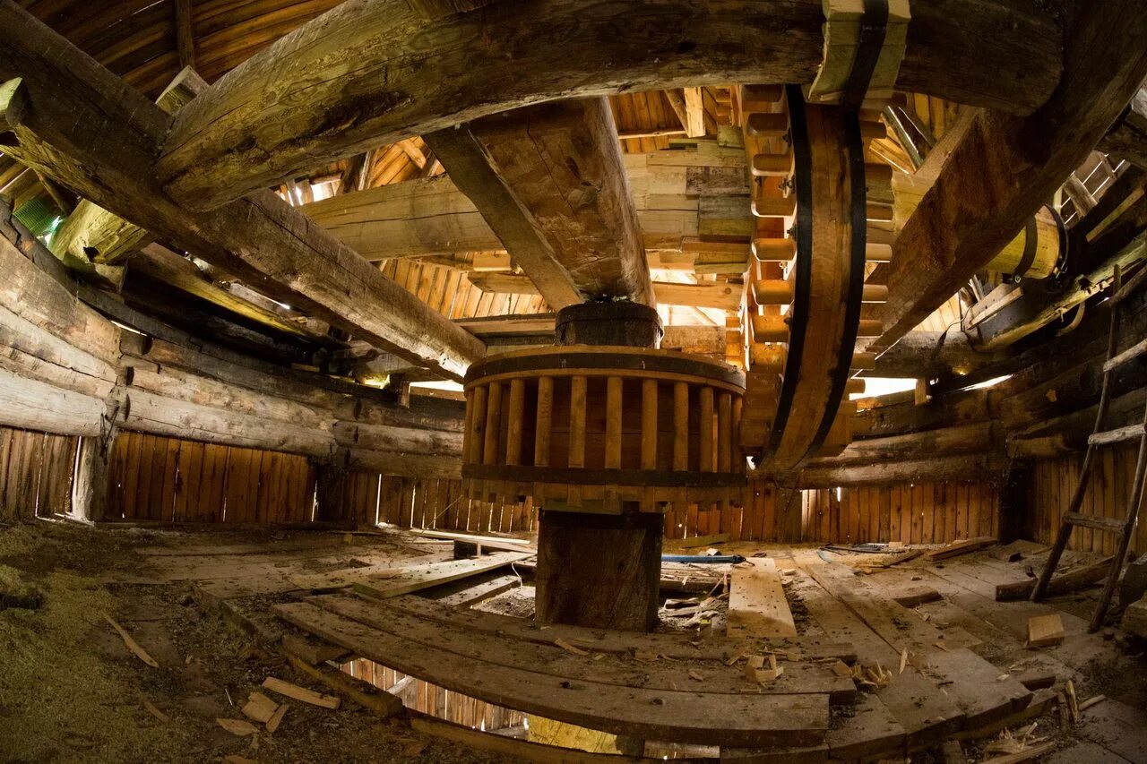 быструшкин феномен аркаима. аркаим городище. аркаим поселение синташта. поселение аркаим. аркаим стоящий у солнца.