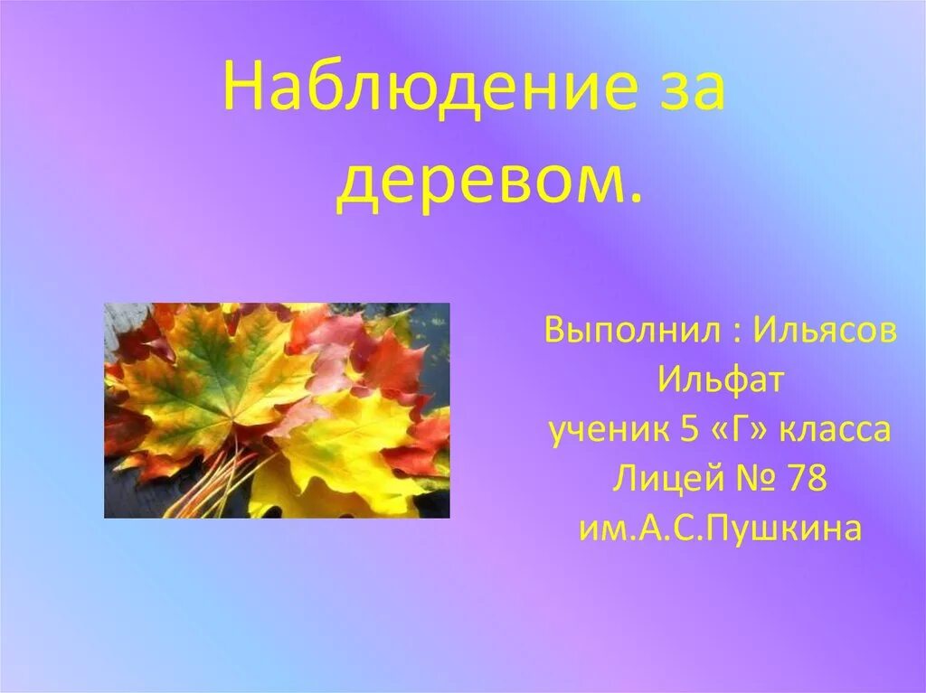 Наблюдение за осенью. Наблюдение за осенними деревьями. Наблюдение за деревьями осенью 5 класс. Дневник фенологических наблюдений за деревьями осенью.