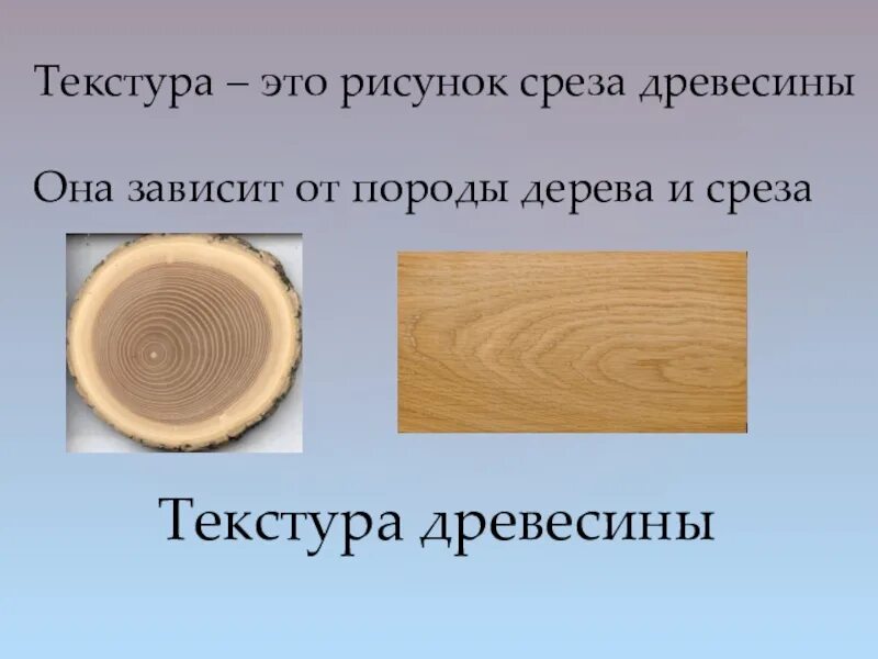 Срез кратко. Строение и текстура древесины. Текстура древесины зависит от. Древесина и древесные материалы 5 класс технология. Древесина 5 класс технология.