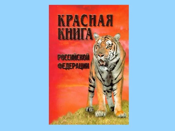 Презентация по красной книге. Животные из красной книги. Животные красной книги википедия. Животные красной книги википедия. Животные красной книги википедия.