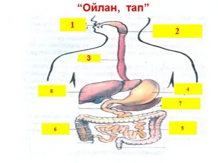 Аналармен және саяжаймен және ұлымен секс порно