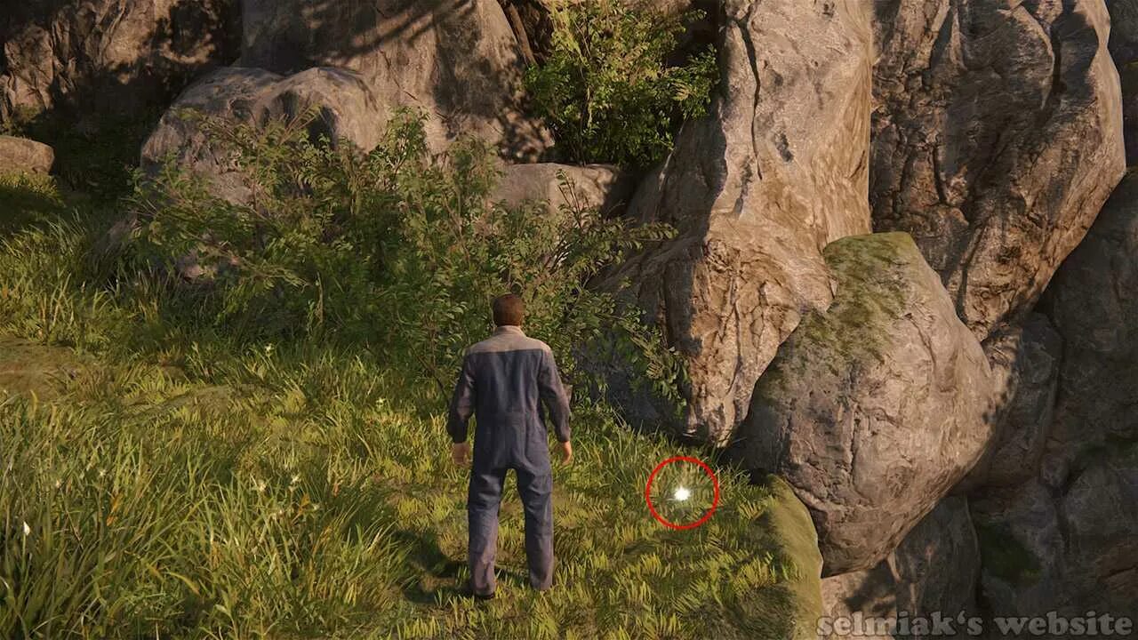 Uncharted 4 на мосту. Анчартед компас статуи. Uncharted наследие воров ps4. Uncharted 4: a Thief’s end прохождение. Uncharted thieves collection прохождение