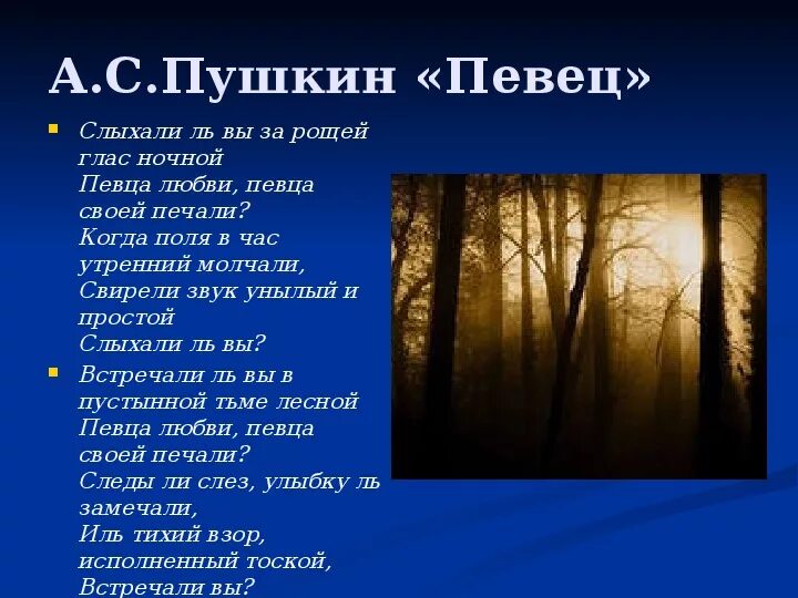Стихи пушкина. Александр сергеевич пушкин певец. С. Поэт пушкин стихотворение текст. Поэт певец из стиха пушкина 5.