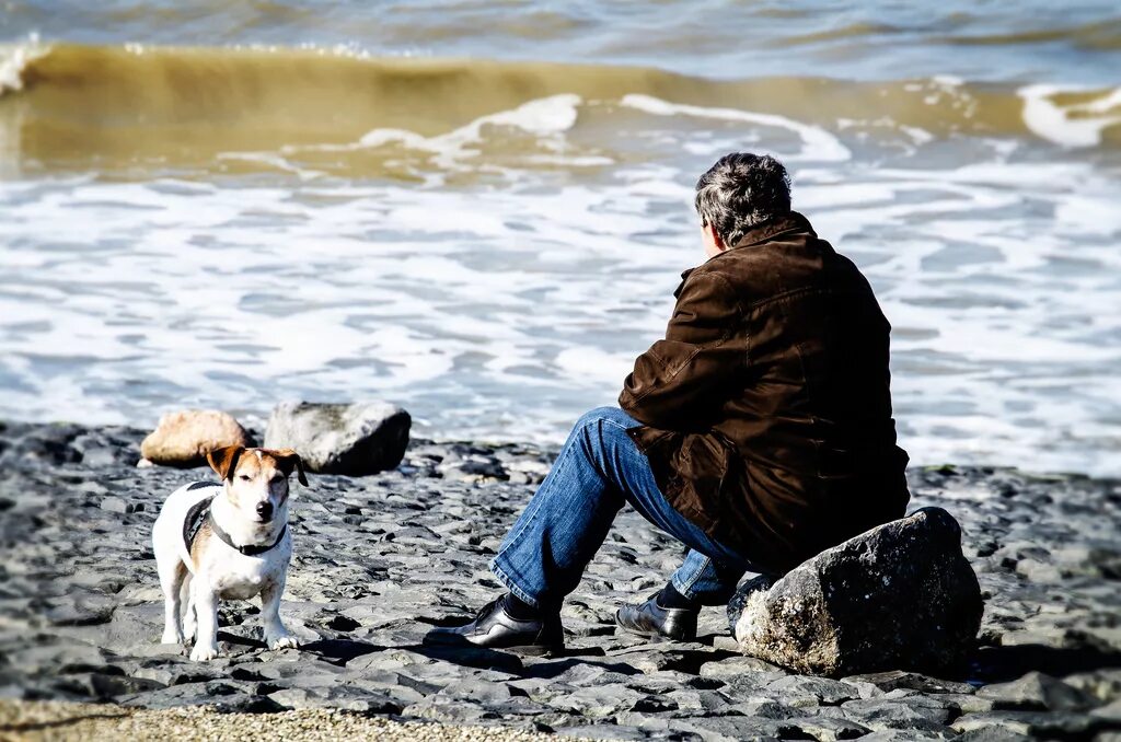 Обида на песке. На берегу фильм 2017. Девушка на берегу моря. Девушка на берегу моря. Человек с собакой на море.