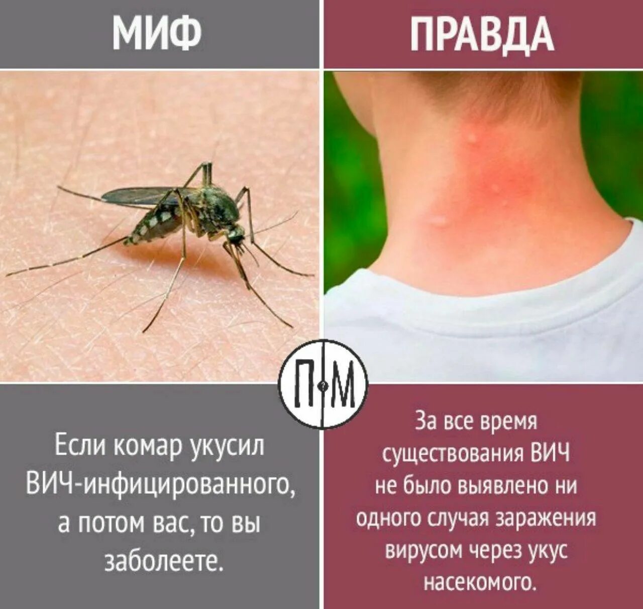 Аллергия на укусы комаров у детей: лечение и симптомы сильной реакции на насеком