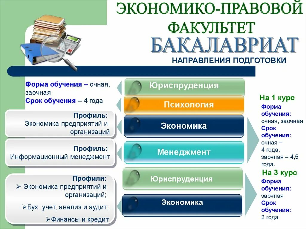 Профили направлений бакалавриата. Профили на юридическом факультете. Бакалавриат. Бакалавриат форма образования. Бакалавр сколько лет учиться.