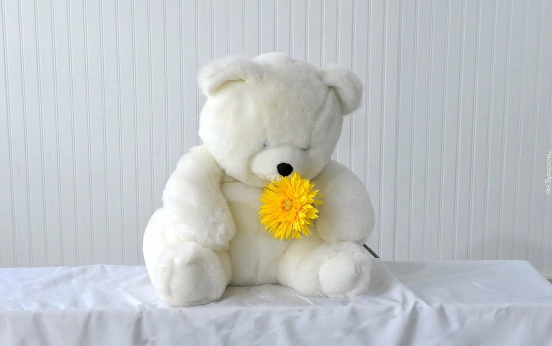Тедди Беар. Медвежонок с цветами. Мишка с цветами. Плюшевый Медвежонок с цветами.