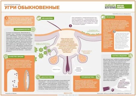 Еда от прыщей на лице