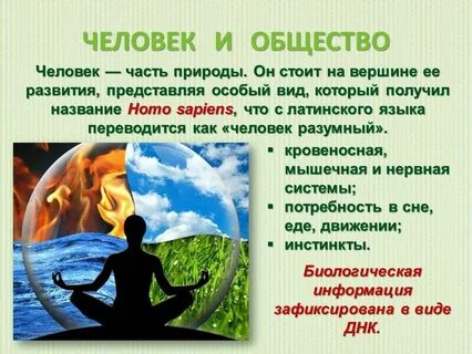 К характеристике общества и природы относится