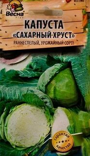 Сорт капусты сахарный хруст