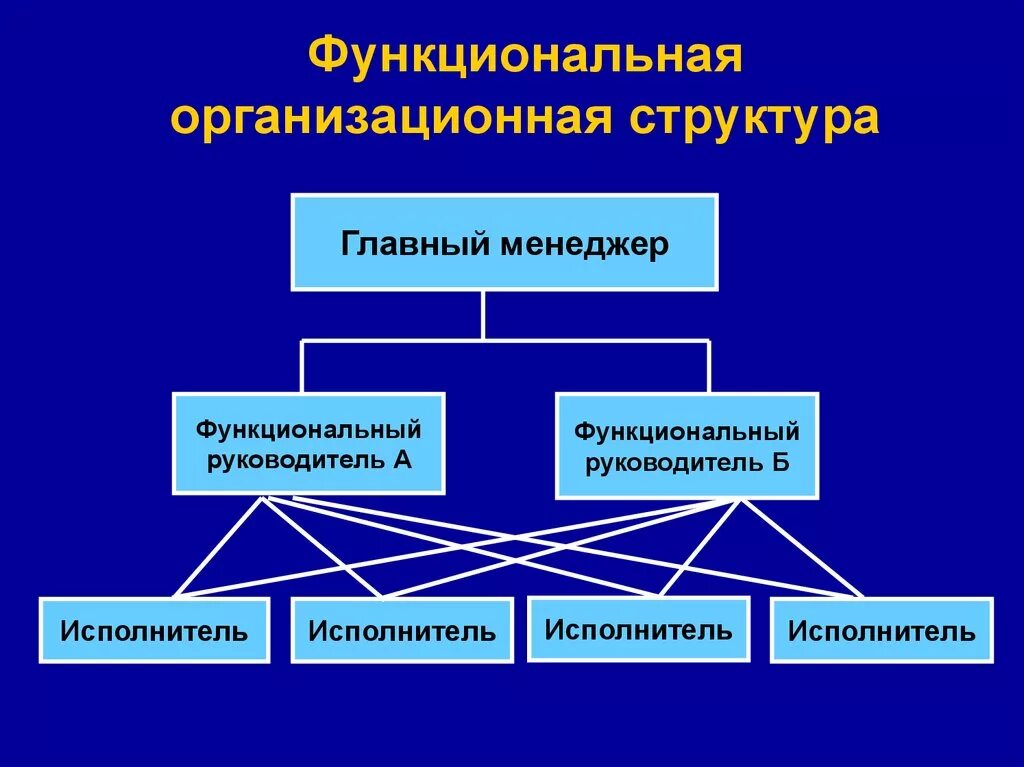 Функциональный состав организации