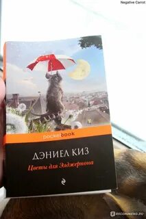 Цветы для элджернона дэниел киз читать полностью