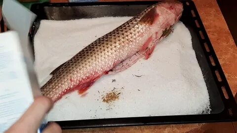 Как вкусно засолить кефаль