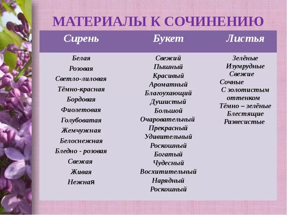 Сирень составить слова. Прилагательные к слову сирень. Прилагательное про сирень. Красивые прилагательные. Прилагательные к слову цветы.