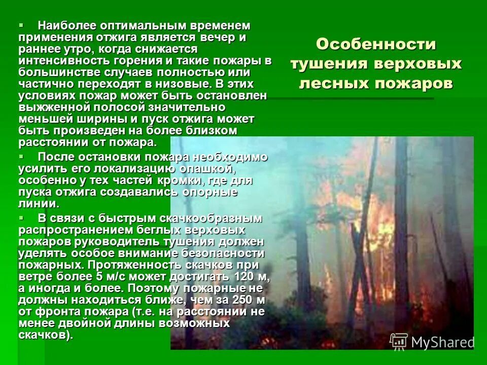Руководитель тушения лесных пожаров обучение. Учения по тушению леса. Тушение лесных пожаров обучение. Руководитель тушения лесных пожаров обучение. Руководитель тушения лесных пожаров повышение квалификации.