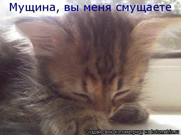 Его сонный уставший вид смутил меня. Девушка устала. Обеденный сон. Лентяй в офисе. Диван собачка.