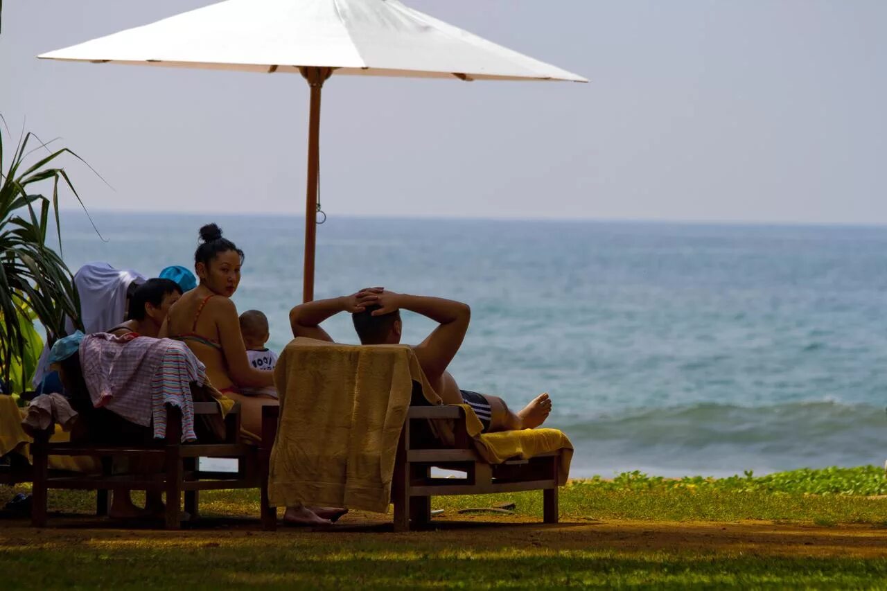 Temple tree resort. Temple tree resort &amp; spa 4*.
