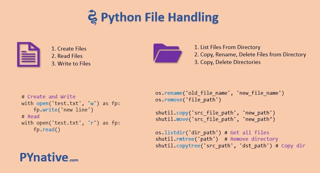 Python file. Write в питоне. In Python. Files in Python. Python files in directory