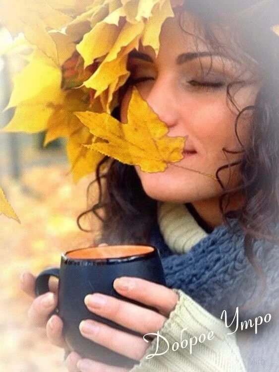 Однажды осенним утром. Осень кофе. Нежного осеннего утра. Осень прохладное утро. Доброе нежное осеннее утро.