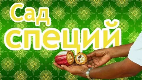 Специи шри ланки