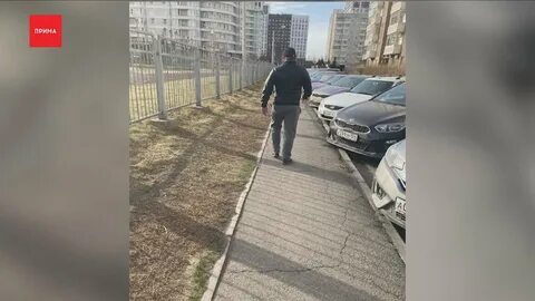 Террорист со спущенными штанами