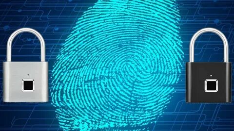 Smart fingerprint