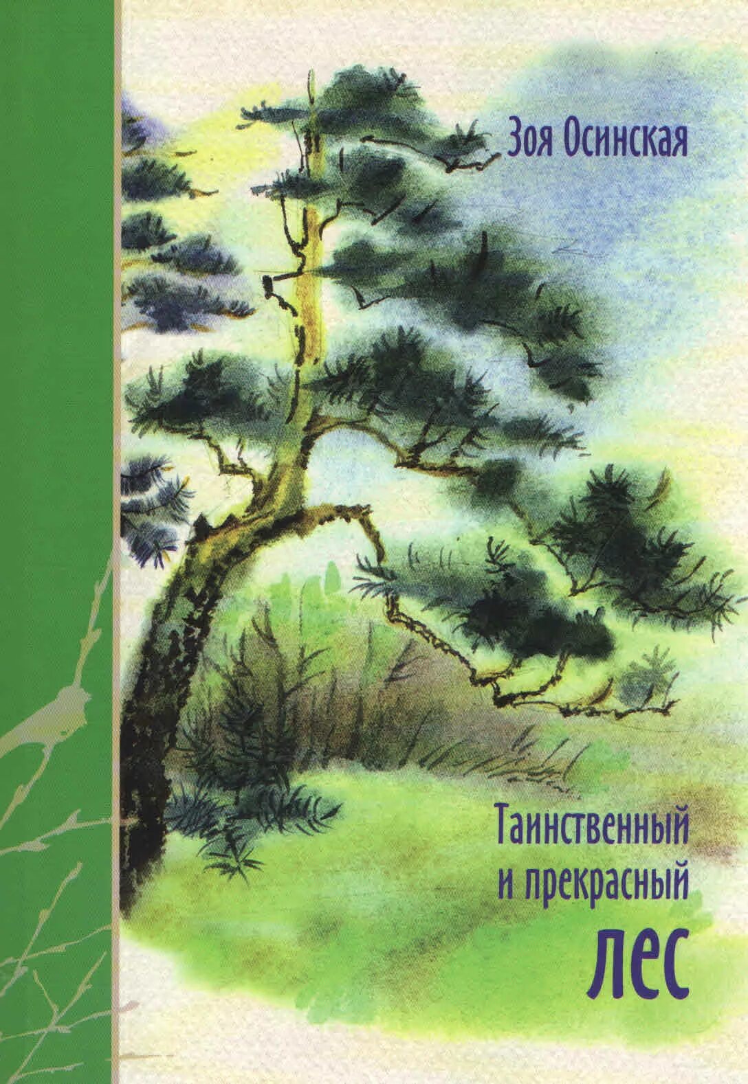 Книга в лесу. Книги о лесе для детей. Обложка книги о природе. Книги про лес для школьников.