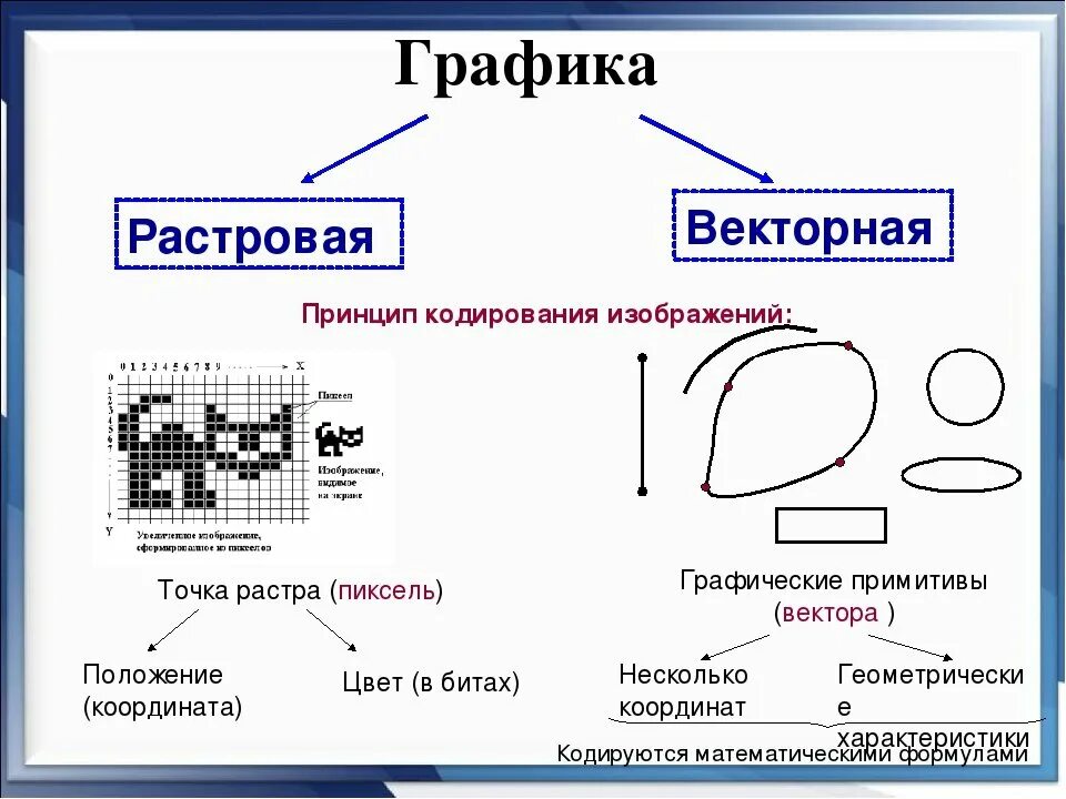 Виды графических изображений. Растровое и векторное изображение. Схема растровой и векторной графики. Виды изображений растровое и векторное. Векторная Графика это в информатике.