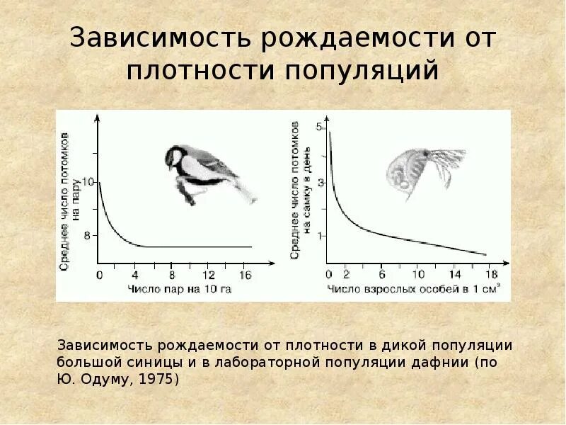 Кривые роста численности популяции. Численность популяции животных. Численность и плотность популяции. Скорость роста популяции. Как связаны плодовитость продолжительность жизни и размеры