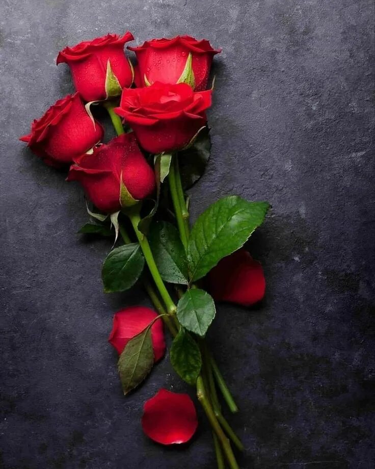 Красный цветок. Розы сердечком. Букет красных роз. Розы фото красивые. The best roses.