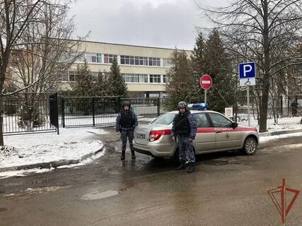 Эвакуация дубна