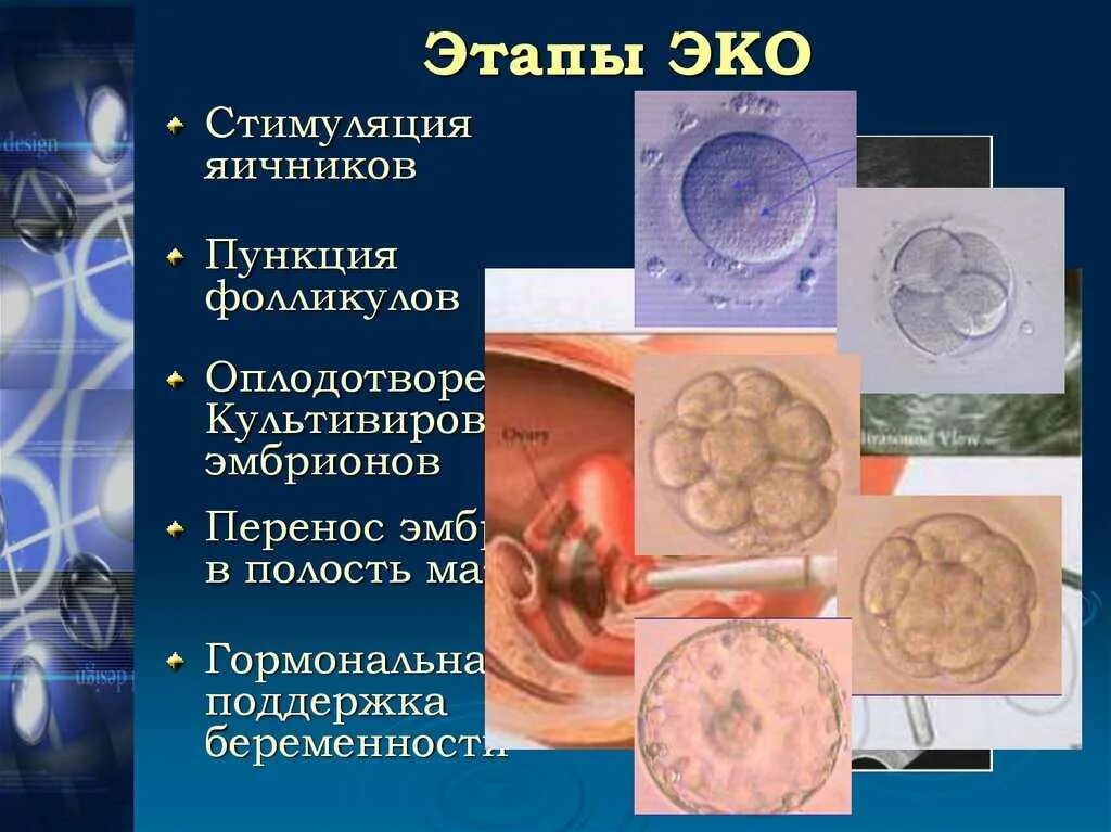 С чего начать подготовку к эко. Этапы экстракорпорального оплодотворения. Эко оплодотворение этапы. Этапы проведения эко. Эко этапы подготовки и проведения.