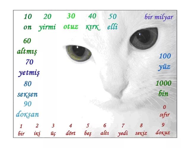 Учить турецязык с нуля. Числа на турецком языке с транскрипцией. Цифры и числа на турецком языке. Турецкие цифры с произношением. Турецкие цифры с произношением.