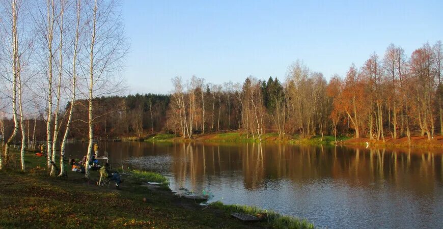 Селятино пруды. Национальный парк щёлково лосиный остров. Рыбалка в селятино пруд пионерский. Селятино пруд. Селятино пруд.