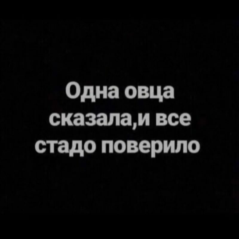 Паршивая портит. Поговорка одна овца всё стадо портит. Одна паршивая овца все стадо портит. Всегда найдется овца. Паршивая овца поговорка.