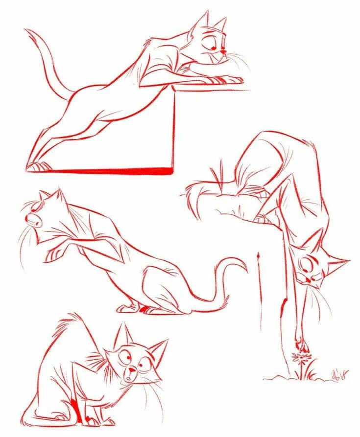 Cats tutorials