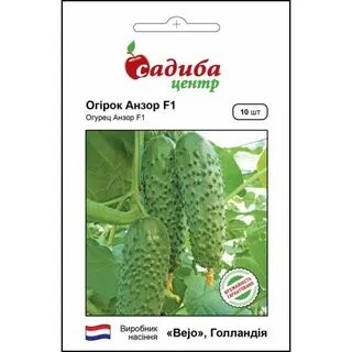 Огурцы сорта анзор