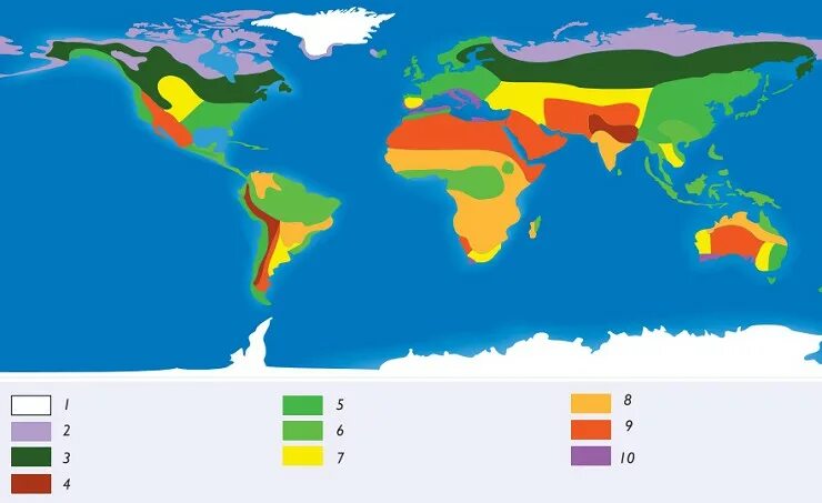 Биомы суши. Карта биомов земли. Зональные биомы. Основные биомы суши карта.