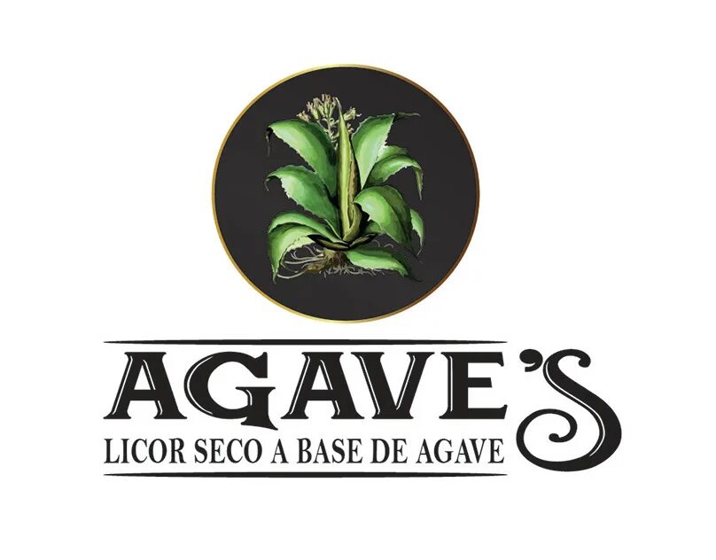 Агава казань каталог товаров. Casa agave вечеринки. Casa agave москва. Агава филифера нитеносная. Магазин агава казань.