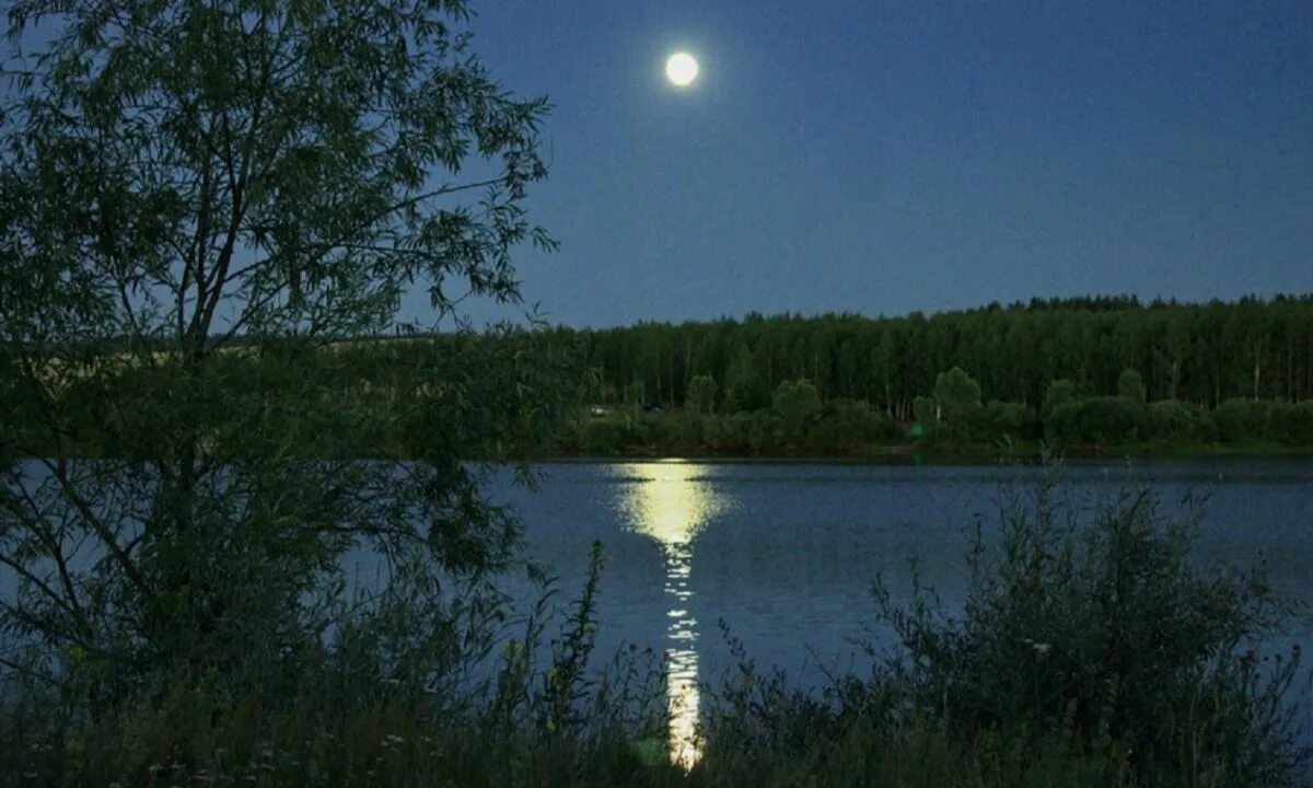 Белая ночь текст. Белая ночь нкоха. Луна и озеро. Двое в ночном городе. Летний вечер.