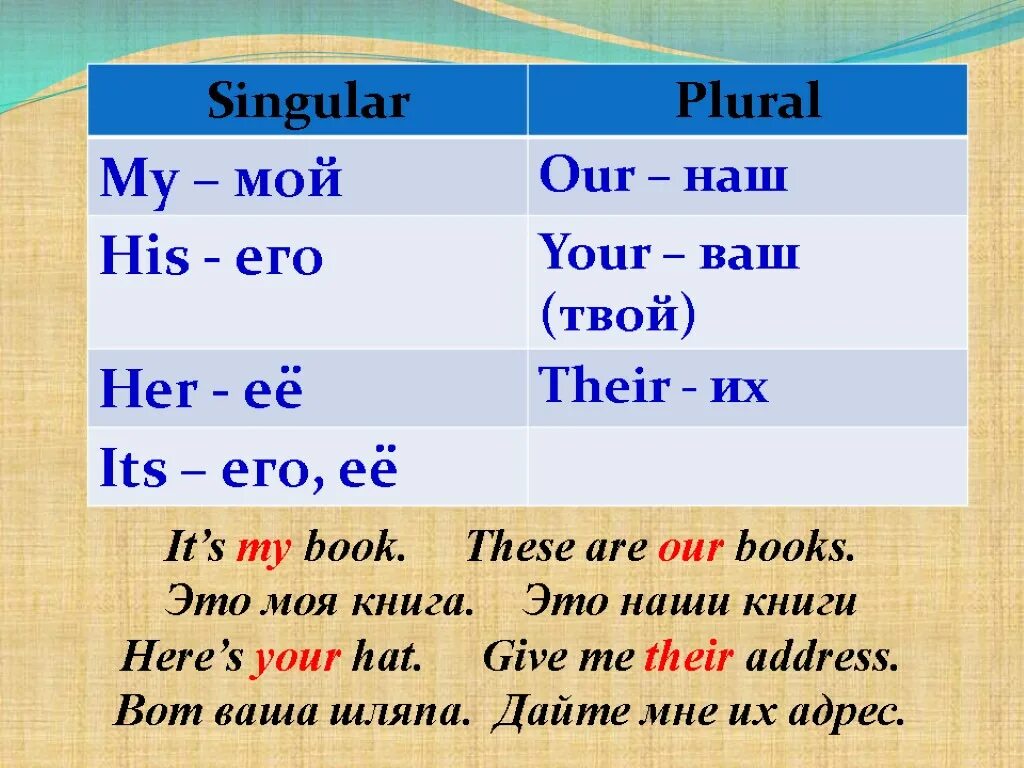 Its перевод на русский. Местоимения my his her its. Притяжательные местоимения my our your his her its. Местоимения mine yours his hers ours theirs. My your his her its our their.