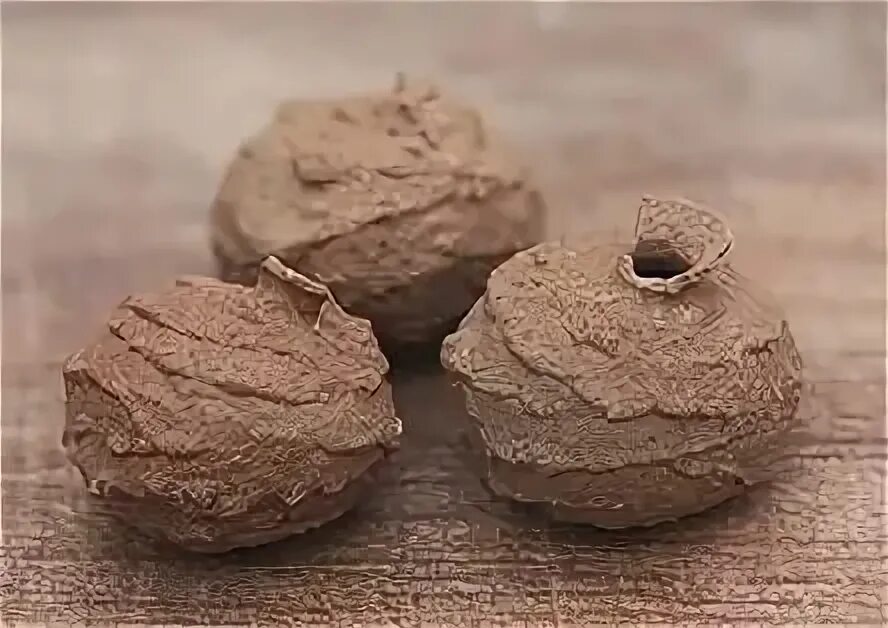 Гнездо рыжего печника. Полимерная глина соты. Глиняное гнездо. Гнездо из глины. Скульптура птицы.