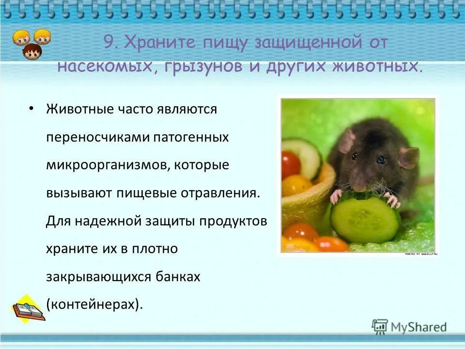 Как можно защитить продукты от бактерий. Защищать пищу от насекомых. Защита от насекомых и грызунов. 9. Храните пищу защищенной от насекомых, грызунов и других животных. Питание грызунов насекомыми.