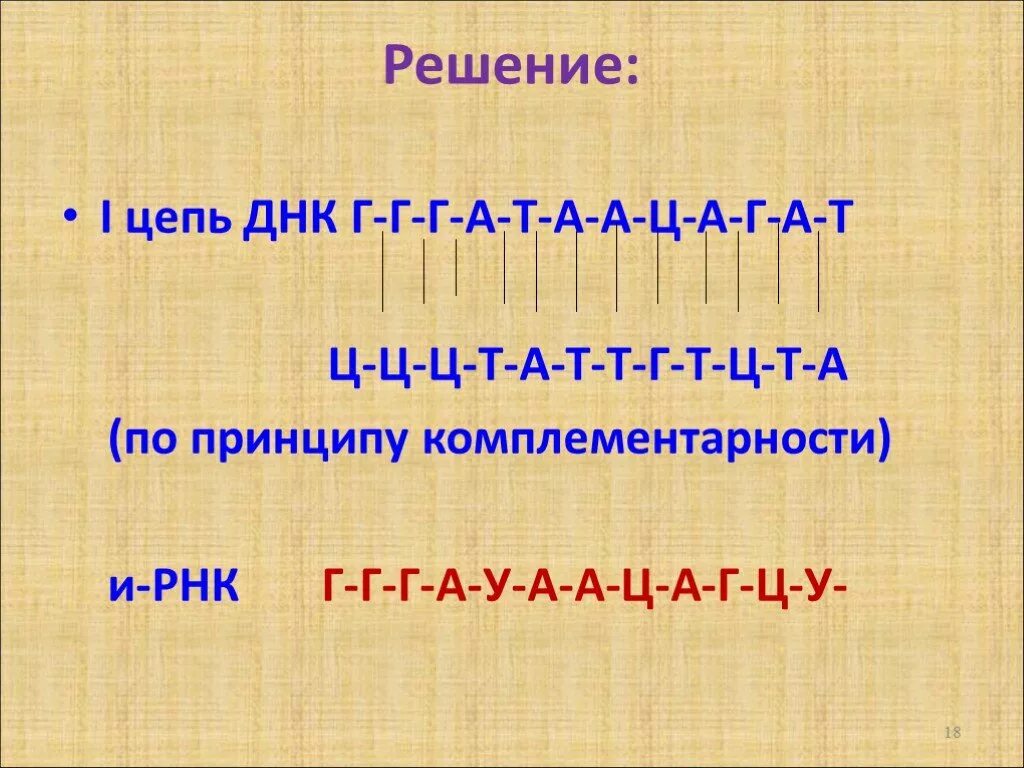 Цепочки ДНК И РНК по принципу комплементарности. Принцип комплементарности ДНК И РНК. А-Г-Ц-Ц-Г-Т-Т-Г-Г-А-А-Г РНК. А Т Г Ц.