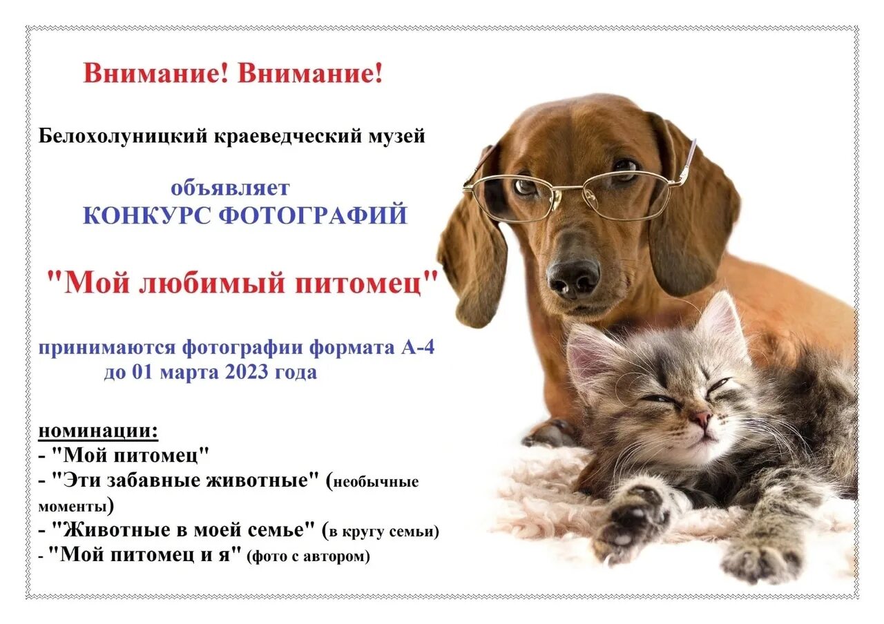 Мой питомец 2025. Мой питомец 2025