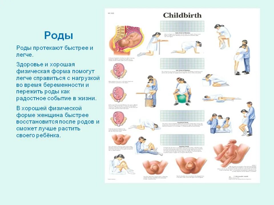 Роды легко и быстро. Как лышать при схватка. Методики дыхания при родах. Как правильно рожать и дышать во время родов. Схема дыхания при родах.