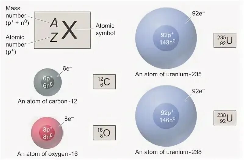 Isoton Chemistry. Isotons. Molecular nature of Genius.