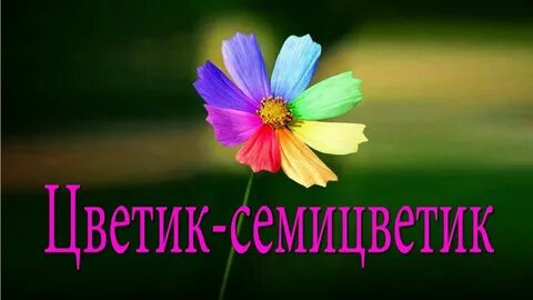 Семицветик видео