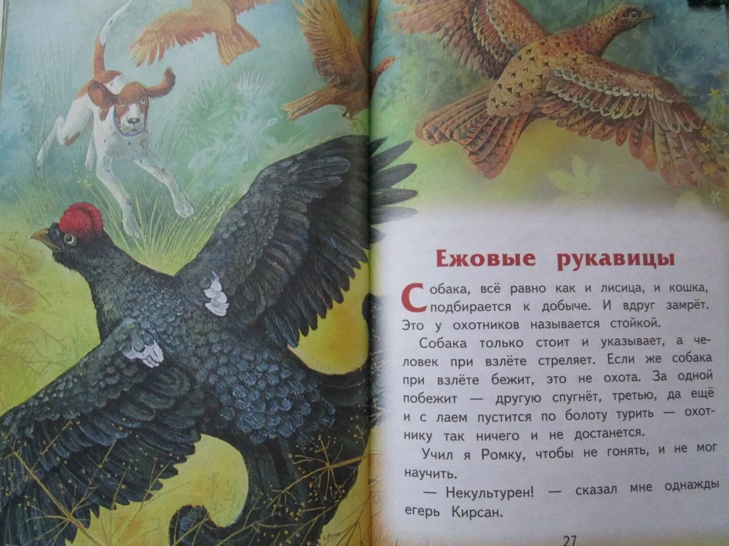 Ежовы рукавицы тексты. Пришвин ежовые рукавицы. книга пришвин ежовые рукавицы. рассказ пришвина ежовые рукавицы. ежовые рукавицы пришвин иллюстрация.