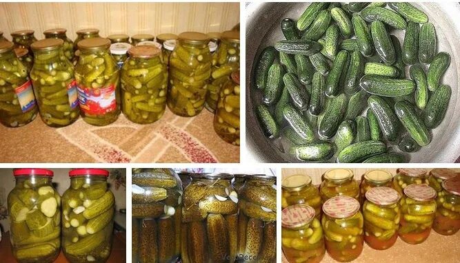 Сколько идет огурцов на 3 литровую банку. Банки с огурцами. огурцы консервированные. закатка огурцов на 3 х литровую банку. огурцы в 3х литровых банках.